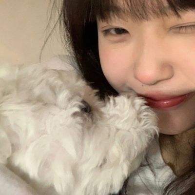 云之巅百度版下载